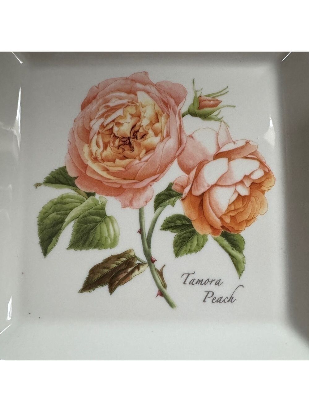 Portmeirion Botanic Roses Set of 2 Square Plates - Picture 3 of 6